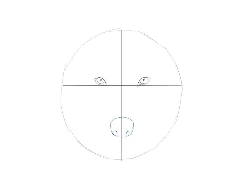 初学者如何一步一步画狼脸