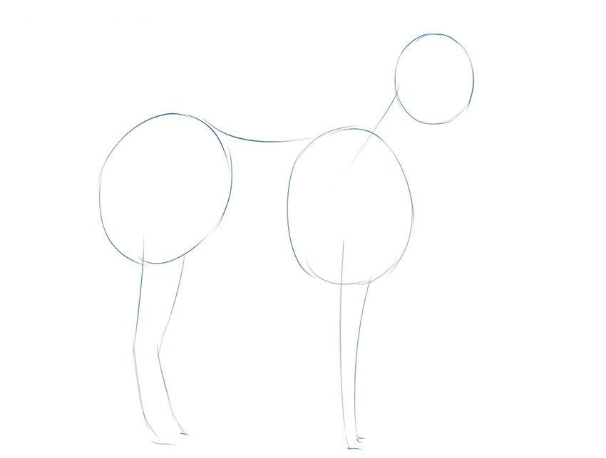 如何一步一步简单地画斑马