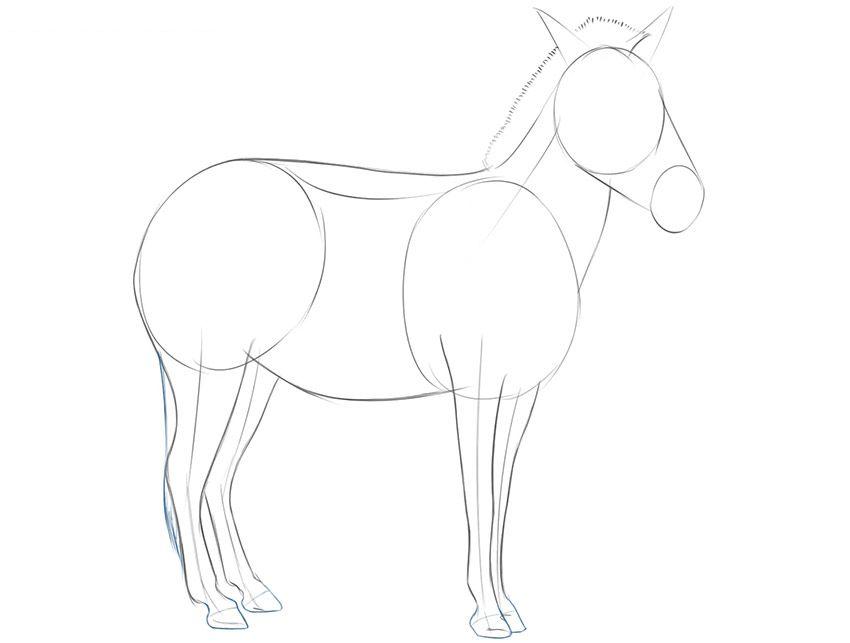 画斑马的简单方法