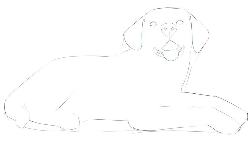 如何画一只躺着的简单狗
