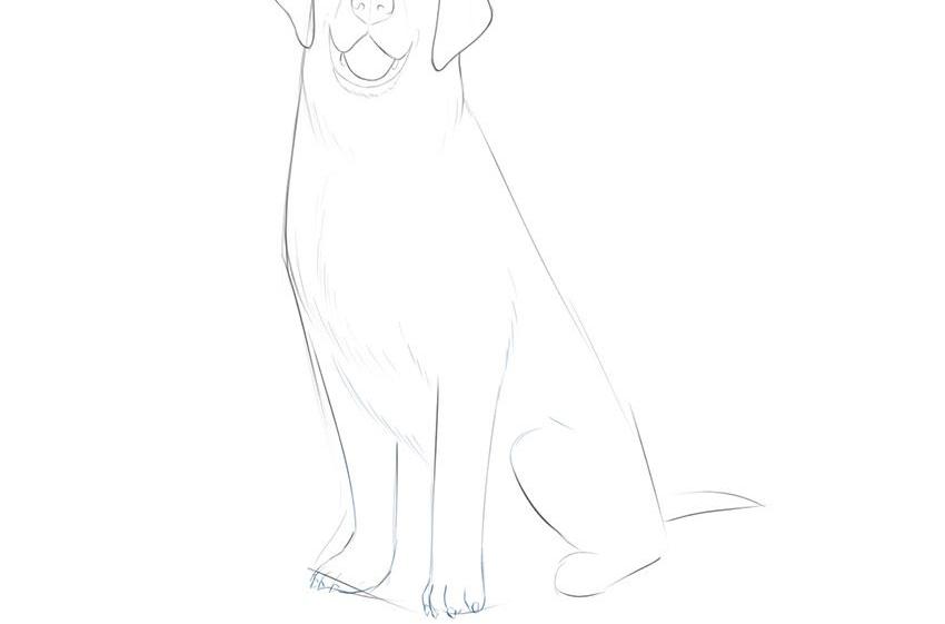 如何简单地画一只坐着的狗