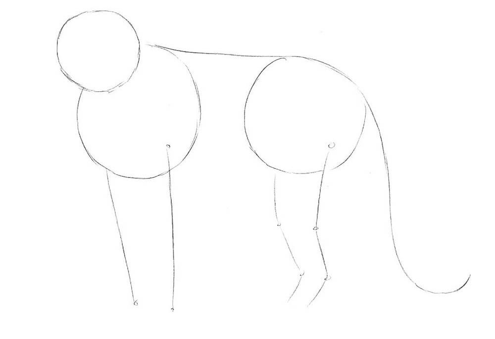 如何画一只豹子